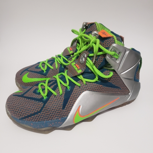 Nike Lebron 12 XII PRM Trillion Dollar Man 705410-430 Size 11.5 Well Maintained - Picture 1 of 10